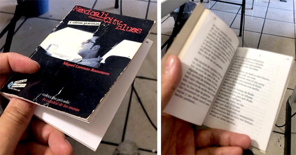 Mexicali City Blues libro de 2005